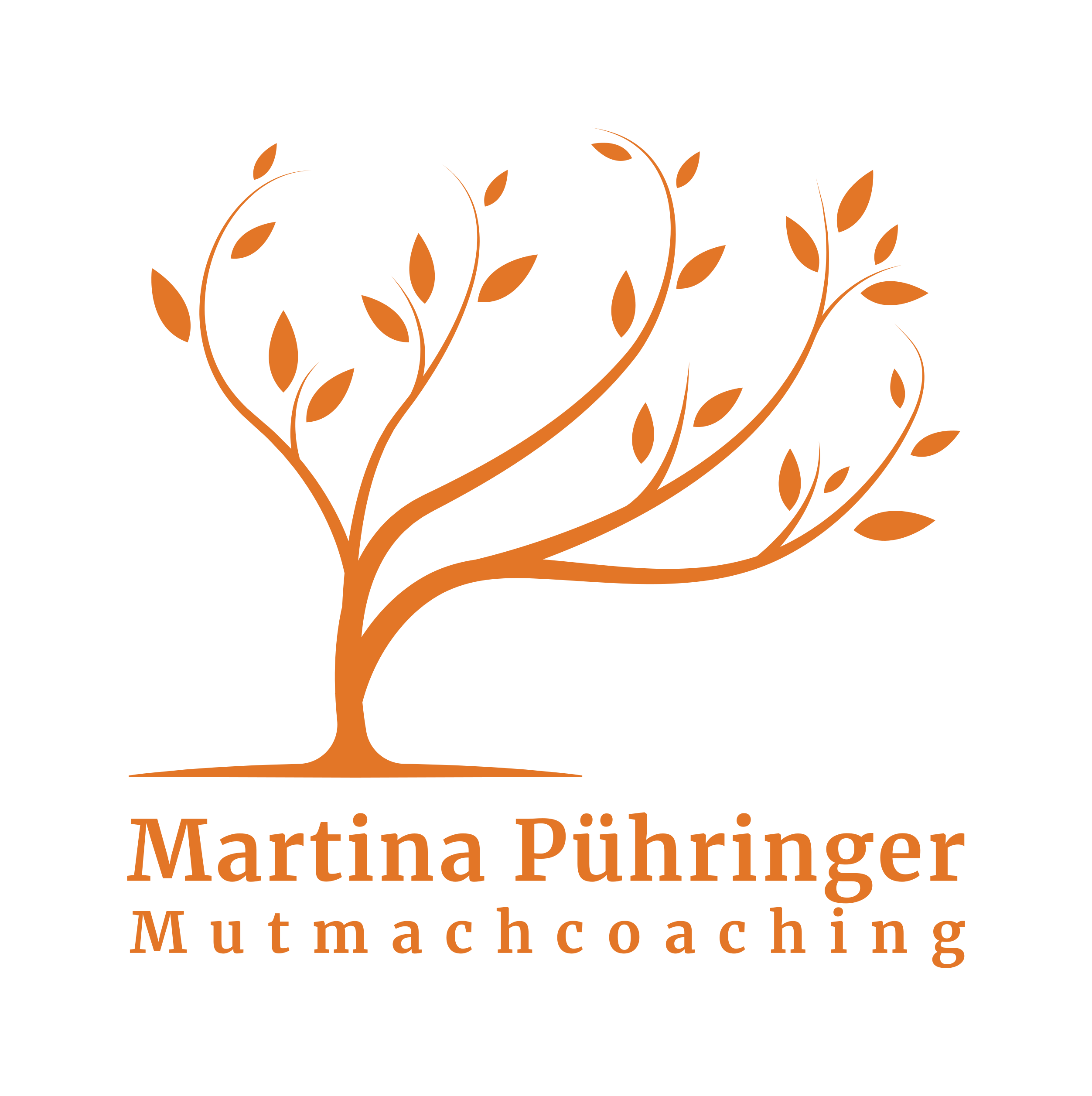 Martina Pühringer